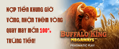 Hoàn Trả VIP Hàng Ngày